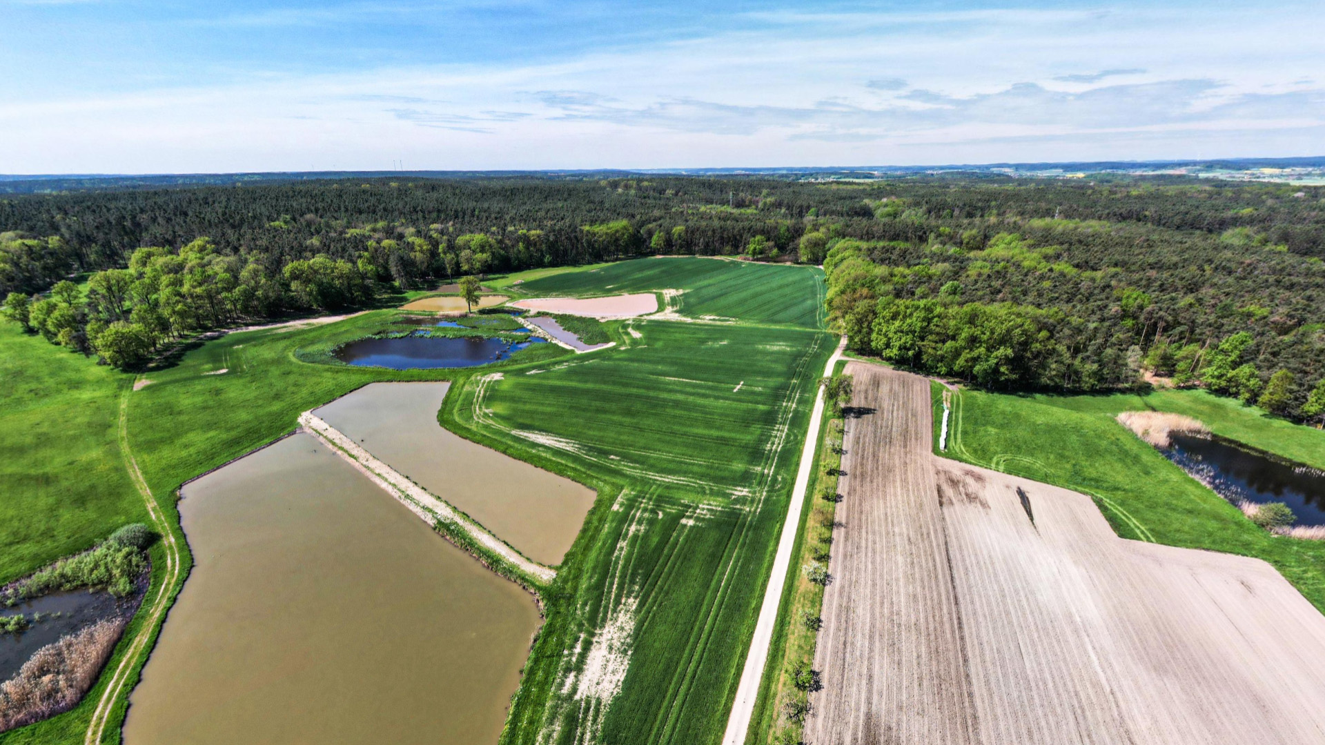 Landwirtschaft auf dem Geierhof